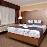 Best Western Hollywood Plaza Inn Hotel - Hollywood Walk Of Fame La