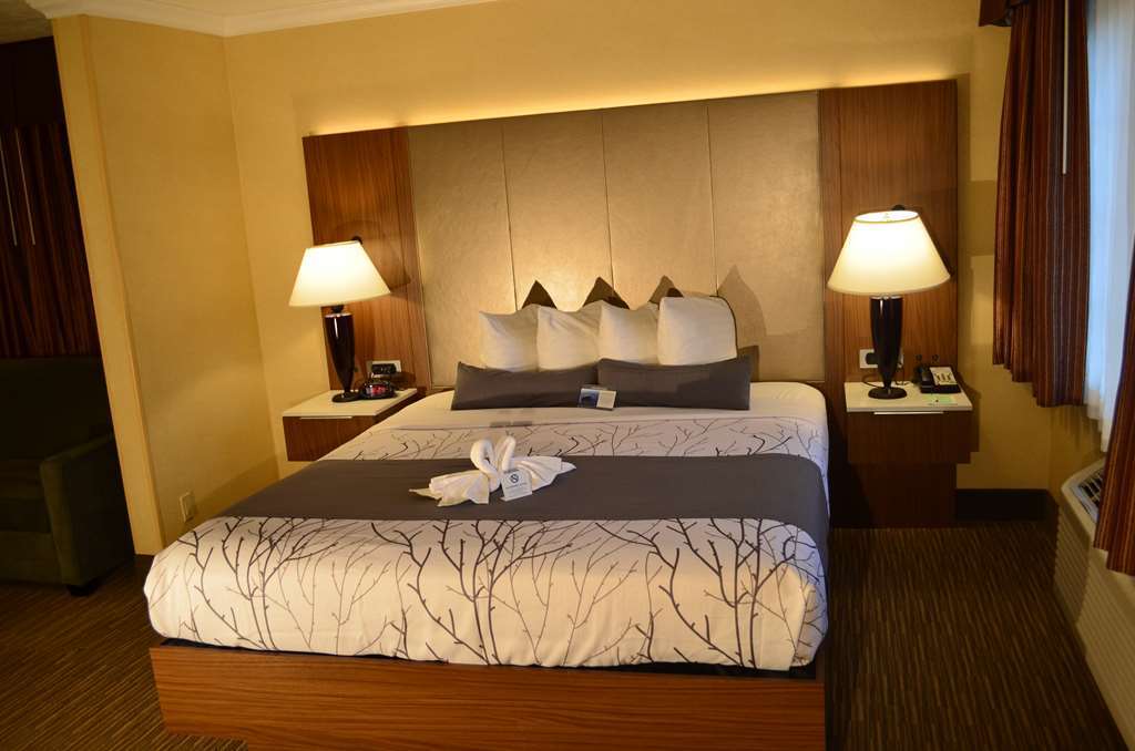 Hotel Western Hollywood Plaza - Hollywood Walk Of Fame La